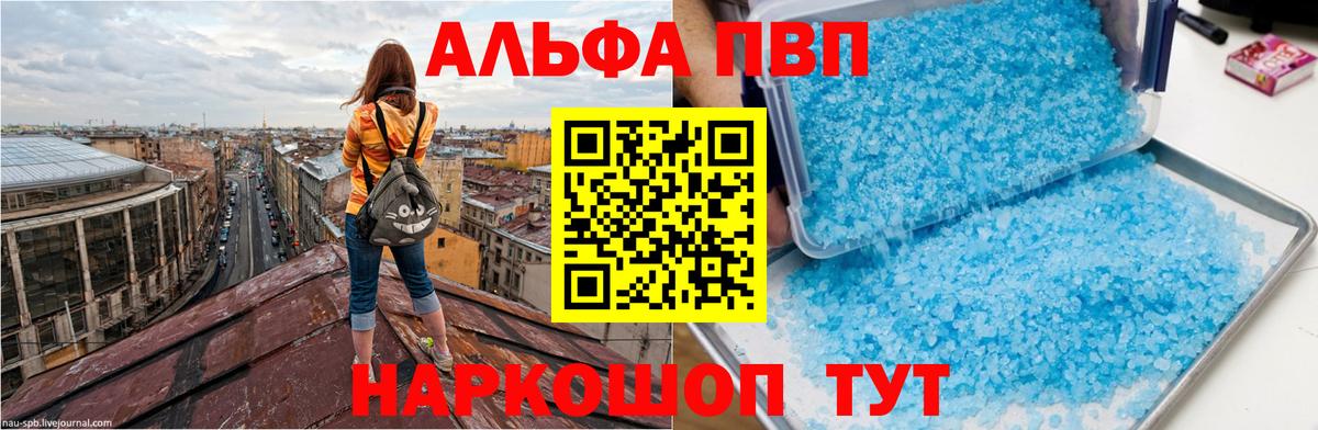 Альфа ПВП СК Махачкала
