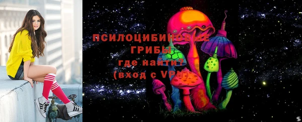 дмт Алексеевка