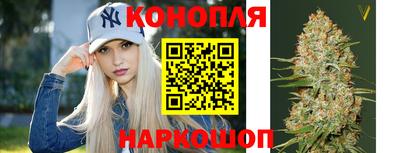 прущие крисы Аша