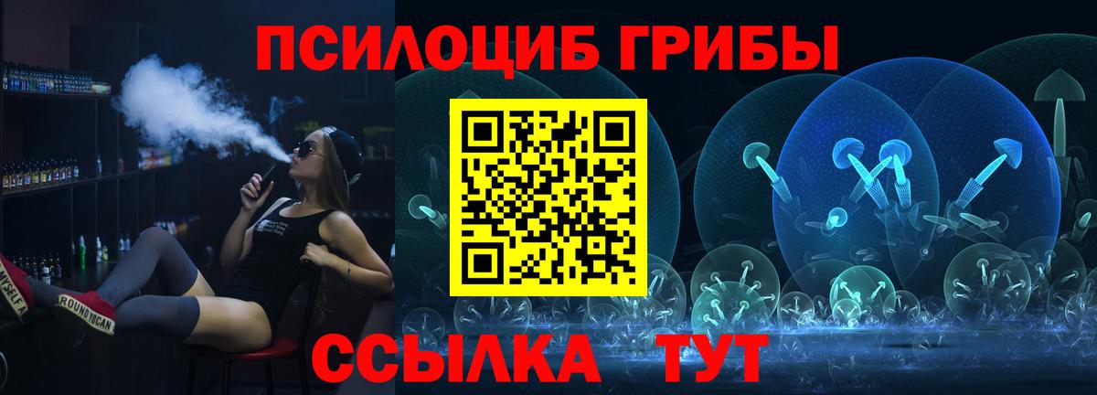Галлюциногенные грибы Psilocybe Махачкала